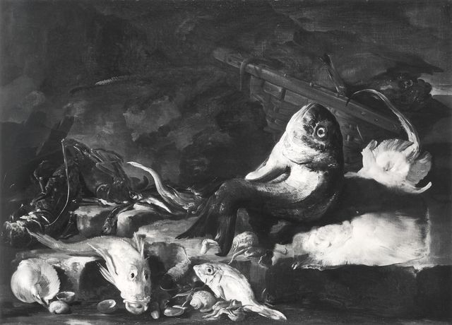 Anonimo — Autore non indicato - sec. XVII/ XVIII - Natura morta con pesci — insieme